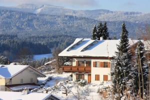 ein Haus auf einem schneebedeckten Berg in der Unterkunft Ferienwohnung Stoiber Wolfgang in Regen