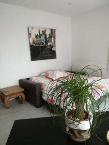 een woonkamer met een bank en een potplant bij Gîtes LA Brunette in Beausoleil