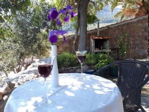 two glasses of wine and a vase of purple flowers on a table at Studio Apartment Mileta in Pitve