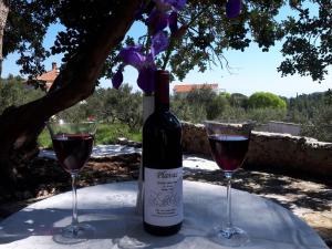 a bottle of wine and two glasses on a table at Studio Apartment Mileta in Pitve