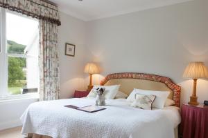 a dog sitting on a bed in a bedroom at Kilcamb Lodge Hotel in Strontian