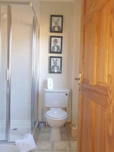 a bathroom with a toilet and a shower at Creag-Ard Bed & Breakfast,with private lounge in Dundonnell