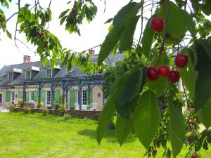Brissarthe的住宿－萊斯羅洛特斯德拉布勞德里酒店，前面有一棵红樱桃树的房子