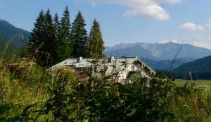 una vecchia casa su una collina in un campo di Spitzing Lodge Ferienwohnungen - Wanderparadies in den Bergen a Spitzingsee