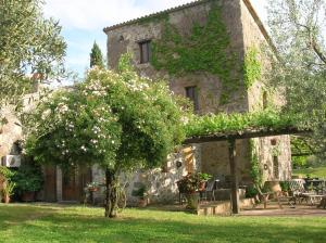 A garden outside La Chiusetta