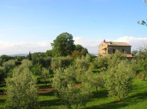 A garden outside La Chiusetta