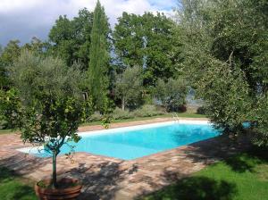 The swimming pool at or close to La Chiusetta