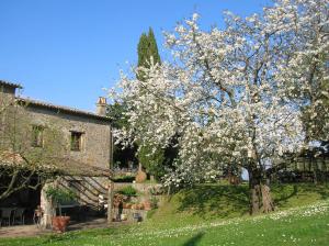 A garden outside La Chiusetta