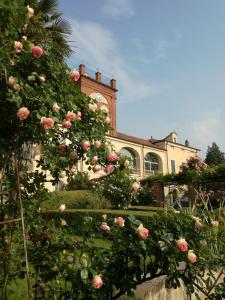 un edificio con un montón de rosas delante de él en San Giovannina '800 en Casale Monferrato