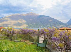 a green chair sitting in a garden with mountains at The Lodge in San Siro