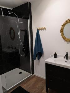 a bathroom with a shower and a sink at À La Cour de Ribeauvillé avec garage in Ribeauvillé