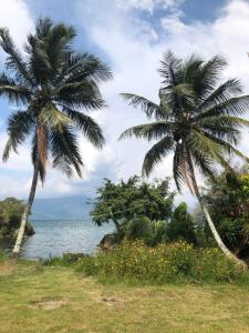 zwei Palmen neben dem Wasser am Strand in der Unterkunft Leokap Homestay in Tuk Tuk