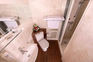 a small bathroom with a toilet and a sink at Park Hotel Pruhonice in Pruhonice