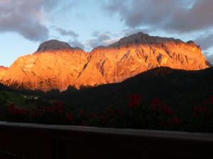 a mountain with red flowers in front of it at Apartments Rit in La Valle +64 photos