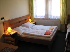 Postel nebo postele na pokoji v ubytování Penzion Albína - Restaurace