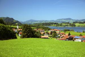 a green hillside with a town and a lake at Chaletwohnung Seeblick - Sauna und Dogfriendly in Oy-Mittelberg
