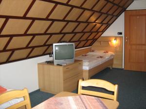 Zimmer mit einem TV auf einer Kommode mit einem Bett in der Unterkunft Penzion Albína - Restaurace in Vysoké nad Jizerou