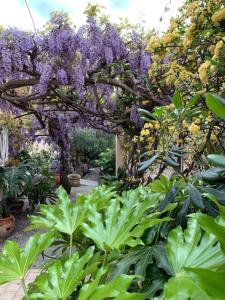 Albergo Fiorenza & Banksia Meublè