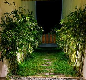 una entrada a un edificio con una puerta y plantas en Hoian Tranquil Lodge - Chon Binh Yen, en Hoi An