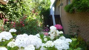 a garden of white flowers in front of a house at l'océane in Le Havre