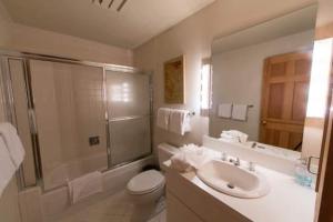 a bathroom with a sink and a toilet and a shower at Northwoods Ski In Ski Out Access in Vail