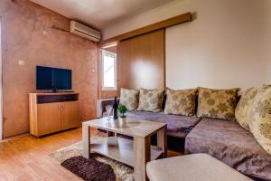 a living room with a couch and a tv at Libra Apartments in Tivat