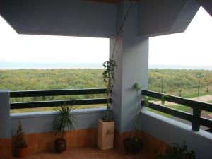Balkon lub taras w obiekcie Urbanización Las Palmeras