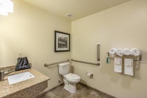 Vannituba majutusasutuses Cobblestone Hotel & Suites - Stevens Point