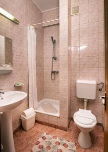 e bagno con servizi igienici, doccia e lavandino. di Hotel Castel a Sfântu-Gheorghe