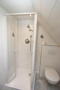 a bathroom with a shower and a toilet at Ferienwohnung Edelbrenner in Rimbach