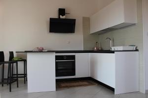 Kuchyňa alebo kuchynka v ubytovaní Apartman Saša + 15 fotografií