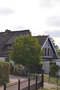 una casa con una valla y un árbol en Feriendomizil-Usetom, en Ückeritz
