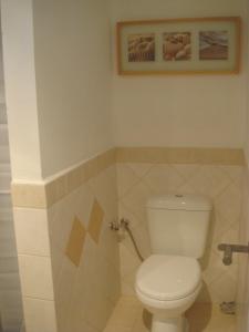 a bathroom with a toilet and a picture on the wall at Aperi View in Karpathos