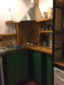 een keuken met groene kasten en een wastafel bij Big in Narbonne