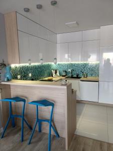 Kuchnia lub aneks kuchenny w obiekcie Apartament FALA-Miodowy Dom