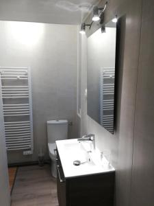 uma casa de banho com um lavatório, um espelho e um WC. em Les Néréides em Mers-les-Bains