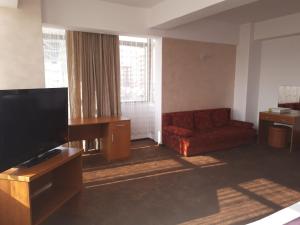 a living room with a couch and a flat screen tv at Hotel Flormang in Craiova