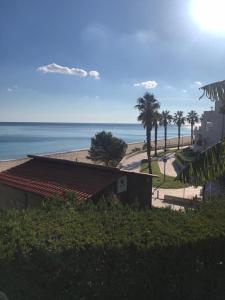 a view of a beach with palm trees and a building at Star of the Sea Miami Playa vacaciones frente al Mar in Miami Platja