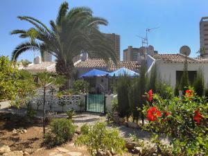 A garden outside Holiday Home Etxe Zuri by Interhome