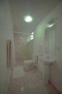 y baño con aseo, lavabo y ducha. en Guida Residenza Pousada, en Campos do Jordão
