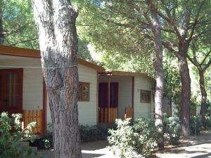 マリーナ・ディ・ビッボーナにあるHoliday Home Gineprino-2 by Interhomeの木々が目の前に広がる小さな白い家