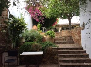 zestaw schodów z ławką i kwiatami w obiekcie CENTRO DE ARTE HARINA DE OTRO COSTAL w mieście Trigueros