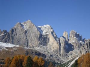 a large mountain with trees in front of it at Albergo Rizzi in Pozza di Fassa