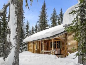 ルオストにあるHoliday Home Karhuntuuli by Interhomeの森の雪の丸太小屋
