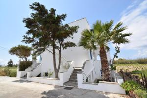 a white house with palm trees in front of it at Palmos Self-Catering Apartment in Kastraki Naxou