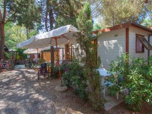 マリーナ・ディ・ビッボーナにあるHoliday Home Gineprino-1 by Interhomeの傘と植物のある小さな家