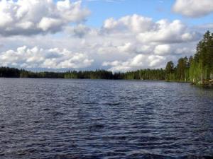 a large body of water with trees in the background at Holiday Home Syvälahti by Interhome in Sonkajärvi