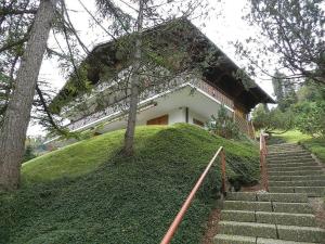una casa en una colina con escaleras delante en Apartment Hornflue - Wohlwender by Interhome en Gstaad