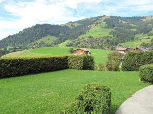 een groen veld met struiken en huizen op een heuvel bij Apartment Grüenbüelti by Interhome in Gstaad