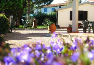 Gallery image of Agriturismo La Valle Dell'Albegna in Orbetello